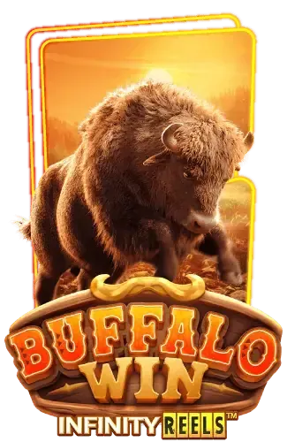 buffalo-win by รวย365